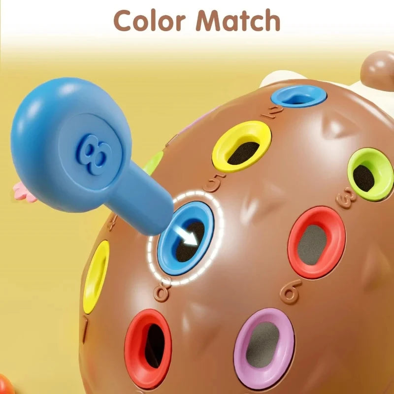 Juguetes sensoriales de erizo para niños pequeños. Juguetes Montessori para el desarrollo de la motricidad fina. Juguetes educativos sensoriales de viaje para bebés y niños en edad preescolar (1, 2, 3 y 4 años).